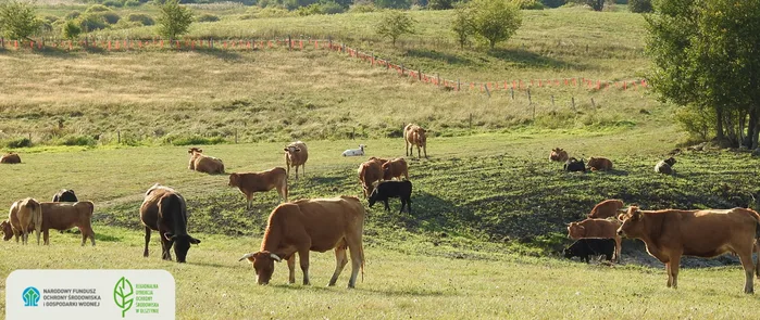 Projekt dotyczący wilków i bobrów w województwie warmińsko-mazurskim