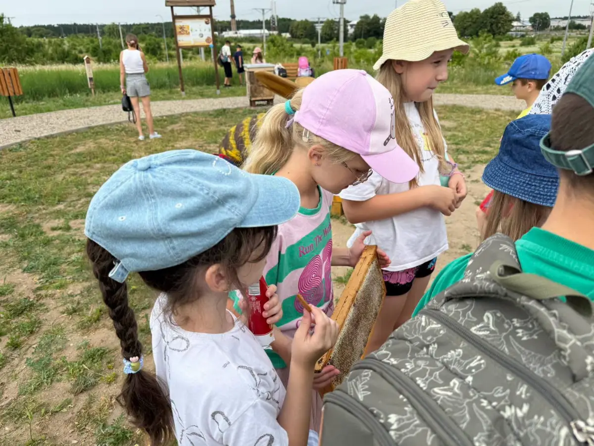 Zajęcia edukacyjne na zielonej ścieżce poświęconej pszczołom